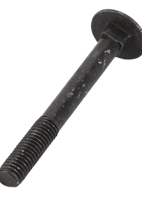 AGCO | Round Head Square Neck Carriage Bolt - Va020636 - Farming Parts