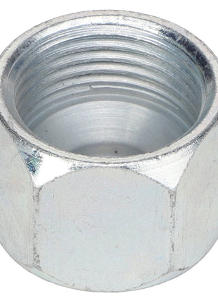 A close-up image of the AGCO Cap Fitting - 700051701, a hexagonal metal nut featuring internal threading.