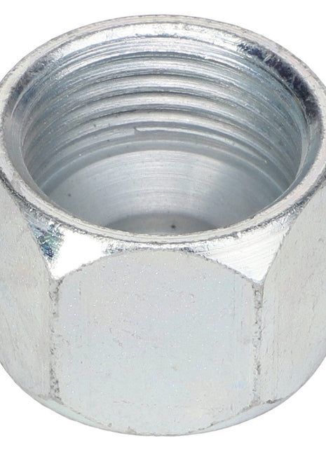 A close-up image of the AGCO Cap Fitting - 700051701, a hexagonal metal nut featuring internal threading.
