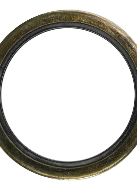 The AGCO Gasket (Model AL5013855) features an aged, brass-colored exterior with a dark inner edge. This circular gasket boasts a simple design but lacks a detailed product description at this time.