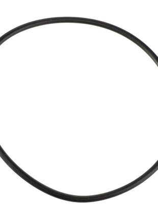 AGCO | O RING - E11979