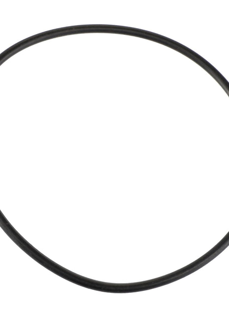 AGCO | O RING - E11979