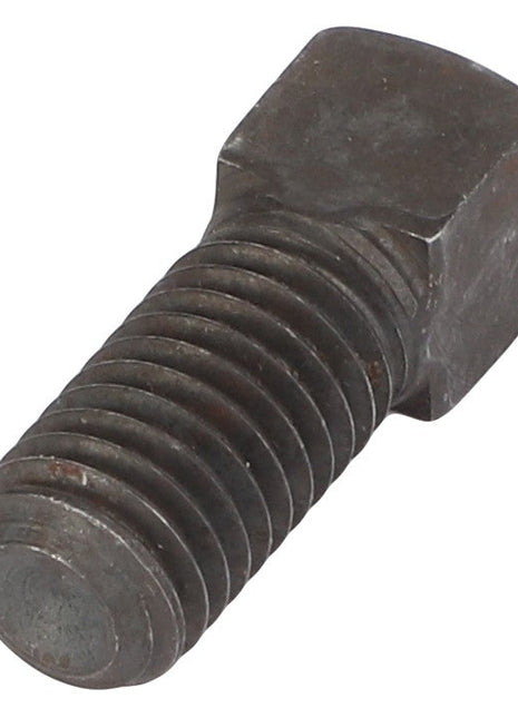 Close-up image of the AGCO Cup Point Square Head Set Screw - 3009627X1. No current product description available.