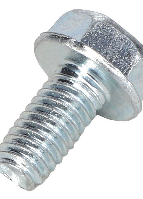 AGCO | SCREW - AL5006007