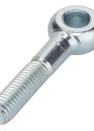 The AGCO EYE BOLT - 0903-34-21-00 is a silver-metal eye bolt featuring a threaded shaft and a circular, open eye at one end. No current product description information provided.