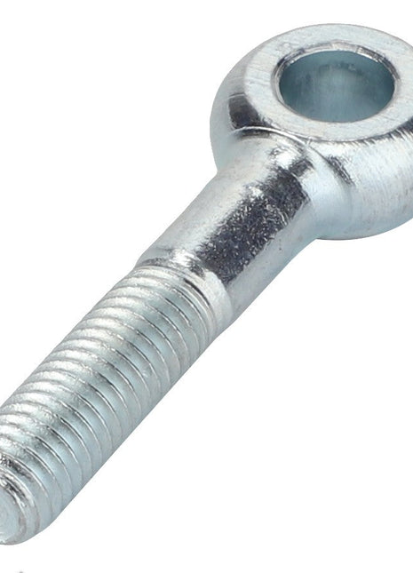 The AGCO EYE BOLT - 0903-34-21-00 is a silver-metal eye bolt featuring a threaded shaft and a circular, open eye at one end. No current product description information provided.