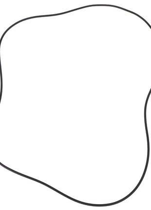 A black, irregular, amoeba-like outline against a white background, the AGCO | O-Ring - AG726353 by AGCO is crafted with high-quality materials to meet high-performance demands.