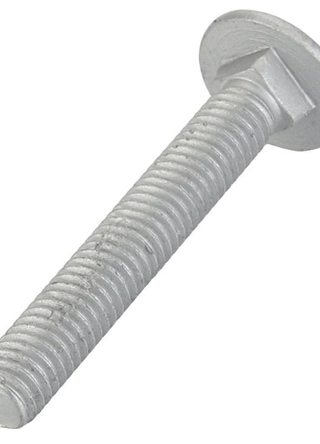 AGCO | Round Head Square Neck Carriage Bolt - Acw1059410 - Farming Parts
