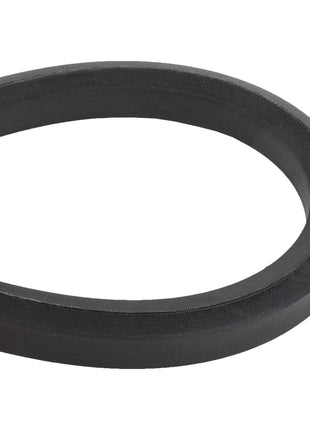 A section of the AGCO V BELT - D41990100, black and circular in shape, is displayed on a white background. No current product description information is available.