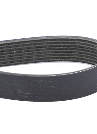 A close-up view of the AGCO Belt - A71410501, a black ribbed automotive belt, looped and resting horizontally. No current product description available.