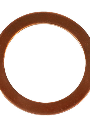 AGCO | Washer - Acp0410960 - Farming Parts