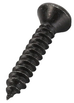 Product Description: The AGCO | Bolt - Va023454 from AGCO is a close-up of a black metal screw featuring a pointed tip and a round head.