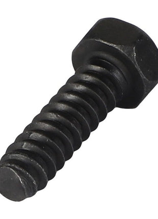 A close-up image of the AGCO Hex Tapping Screw - Acw2920440, featuring a black metal finish with a threaded shank and a hexagonal head. No current product description information is available for this item.