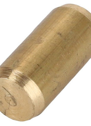 A product from AGCO named "Roll Pin - La300134619," featuring a cylindrical shape with a smooth surface and slightly rounded ends.