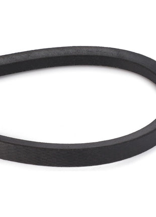 AGCO | Drive V Belt, Cutting Blade Trasmission - D41986300 - Massey Tractor Parts