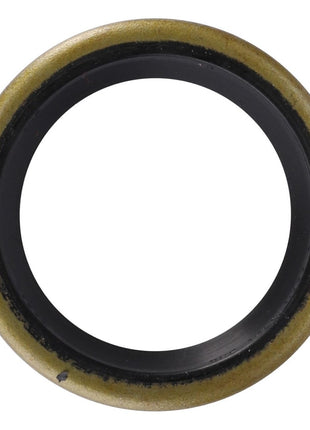 AGCO | Oil Seal, Input Shaft - 883935M4 - Massey Tractor Parts
