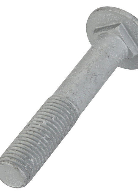 AGCO | Round Head Square Neck Carriage Bolt - Acw2938240 - Farming Parts