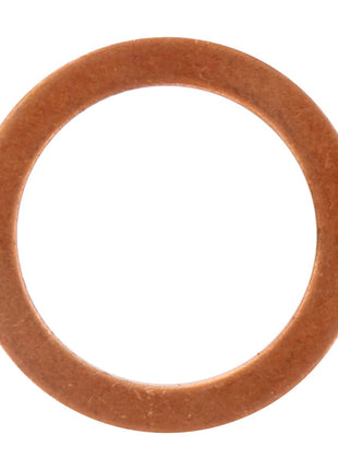 A close-up image of the AGCO | Sealing Washer - Va023265 features its smooth surface and uniform thickness. Unfortunately, no keyword suggestions are obtainable based on the provided product description.