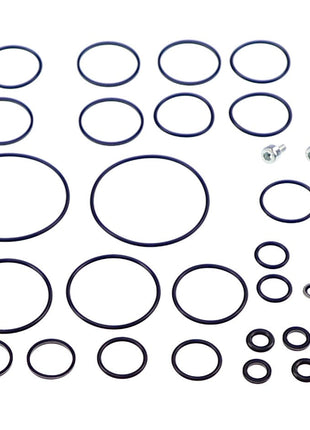 An assortment of black O-rings in various sizes alongside two small metal screws, neatly arranged on a white background, showcasing the AGCO | KIT - AL5040063 by AGCO. No current product description information is available.