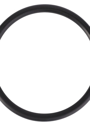 AGCO | O Ring - 3010101X1 - Massey Tractor Parts