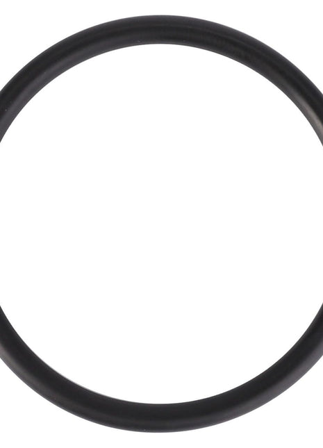 AGCO | O Ring - 3010101X1 - Massey Tractor Parts