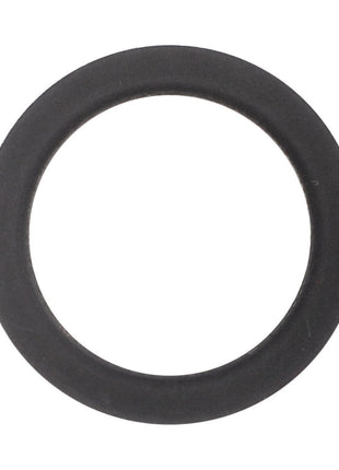 AGCO | Thrust Washer - 3815407M2 - Massey Tractor Parts