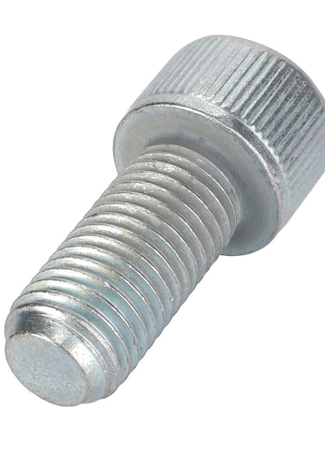 AGCO | Hex Socket Head Capscrew - 3009306X1 - Farming Parts