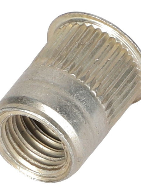 AGCO | Blind Rivet Nut - Acw2793060 - Farming Parts