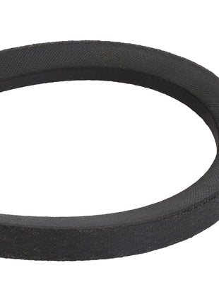 AGCO | BELT - D41996300