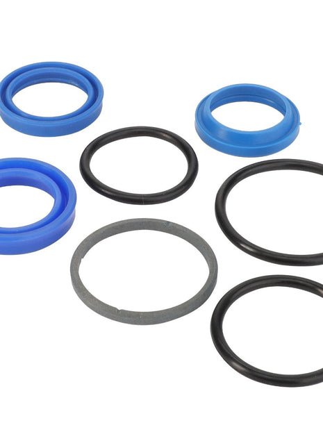 AGCO | SEALS KIT - D45110083