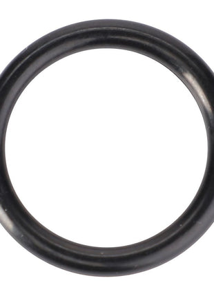 AGCO | O-Ring, Hydraulics, Ø 17,13 X 2 Mm - 70924773 - Massey Tractor Parts
