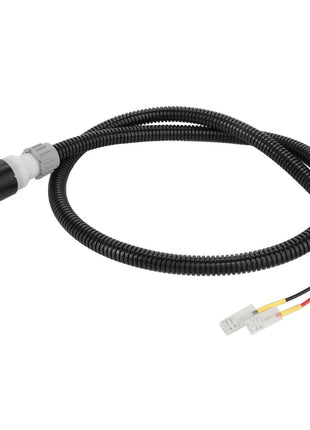 AGCO CABLE - D28782225: This product is a coiled black wire from AGCO, featuring a connector on one end and exposed red and black wires with terminals at the other.