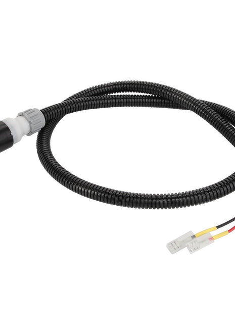 AGCO CABLE - D28782225: This product is a coiled black wire from AGCO, featuring a connector on one end and exposed red and black wires with terminals at the other.