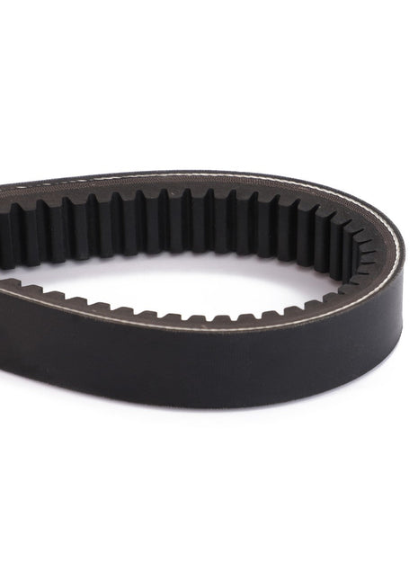 A close-up view of the AGCO V Belt - D41981100 showcases a black rubber toothed belt with a continuous loop design, highlighting its ridged inner surface. No current product description information is available.