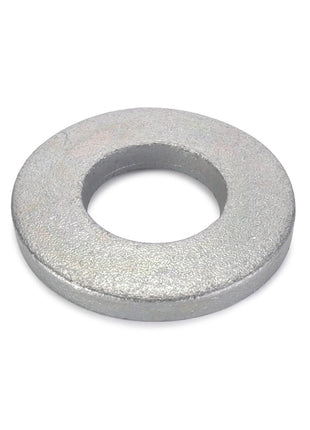 AGCO | SPRING WASHER - D41112500