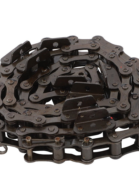 Product Name: AGCO | CHAIN - D28211147
Brand Name: AGCO

Description: A coiled, metallic timing chain used for synchronization in internal combustion engines.