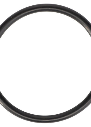 AGCO | O-Ring - 70924193 - Massey Tractor Parts