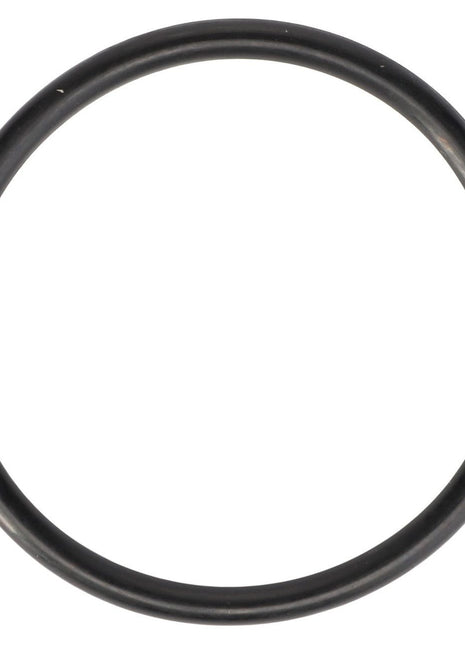 AGCO | O-Ring - 70924193 - Massey Tractor Parts