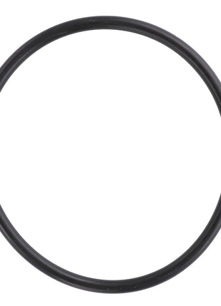 AGCO | O RING - D45481500