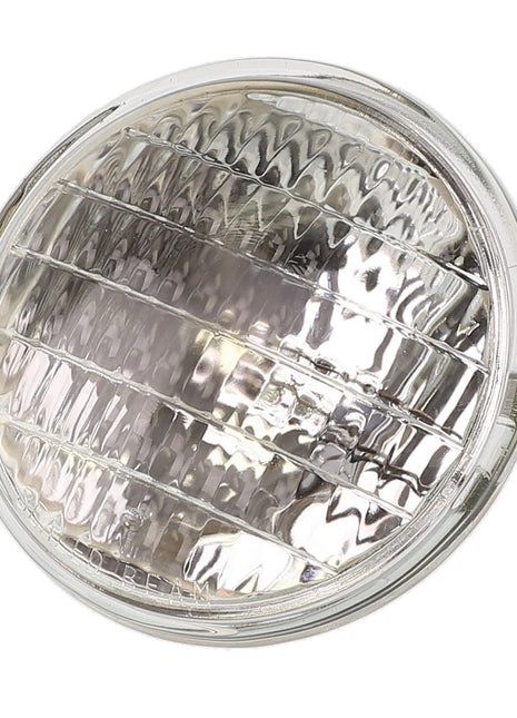 AGCO | Halogen Bulb - Acw4032320 - Farming Parts