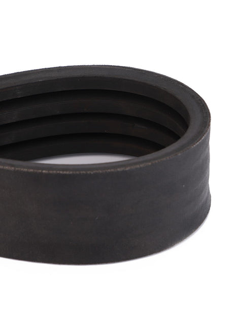 AGCO | Drive Belt, Unloading Grain Tank - D41990061