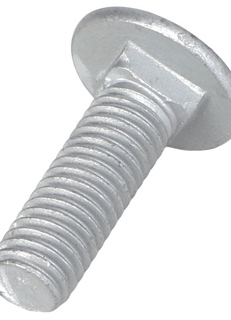 AGCO | Round Head Square Neck Carriage Bolt - Acw0997810 - Farming Parts