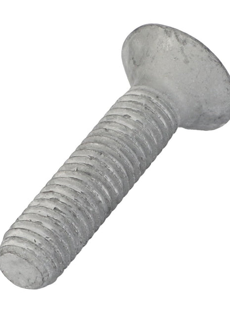 AGCO | Slotted Flat Countersunk Machine Screw - Acw1042020 - Farming Parts