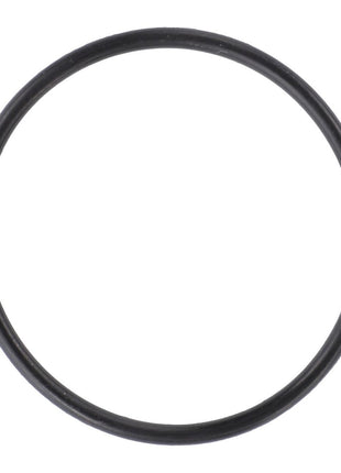 AGCO | O-Ring, Hydraulics, 1-1/4"Id X 1/16" - 70923564 - Massey Tractor Parts