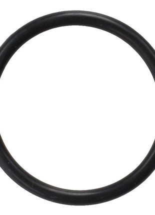 AGCO | O Ring - 3009597X1 - Farming Parts