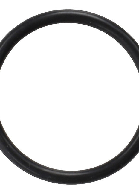 AGCO | O Ring - 3009597X1 - Farming Parts