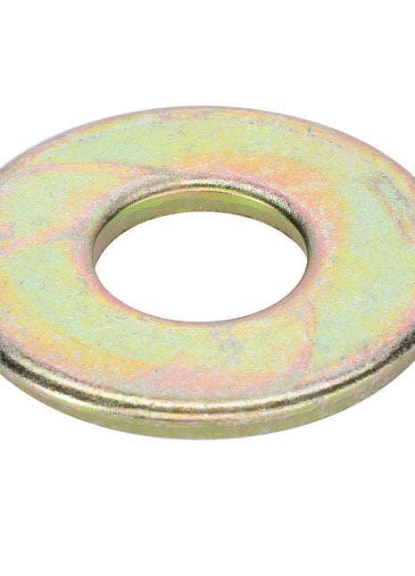 AGCO | FLAT WASHER - AG561262