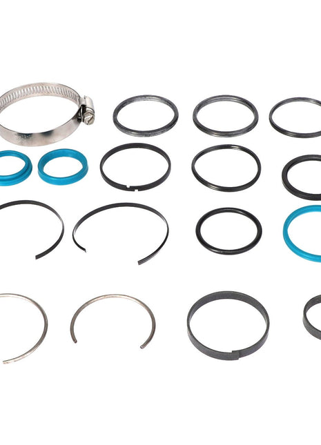 A selection of AGCO metal and rubber rings, seals from the Seals Kit - Acp0023550, and a single metal hose clamp neatly arranged on a white background.