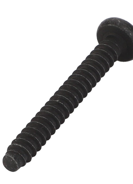 Here is a close-up of the AGCO Self-Tapping Screw - Acw3342530, featuring a black round head and a ridged body against a white background. No current product description information is available for this item.