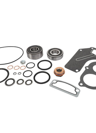 AGCO | Water Pump Repair Kit - Acp0413720 - Farming Parts